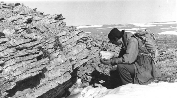 La cal antigua y vigente, datos y aplicación