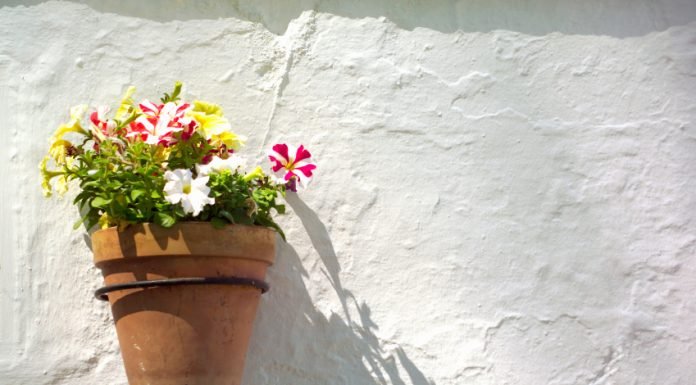 ¿Sabes como la Cal Protege las paredes de una casa?