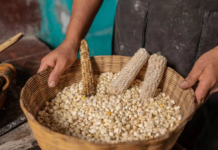 IMPORTANCIA DE LA CAL EN LA INDUSTRIA ALIMENTICIA